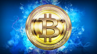 开云体育手机版-体育新闻中心协办全国体育数字内容技术交流大会，体育数字化