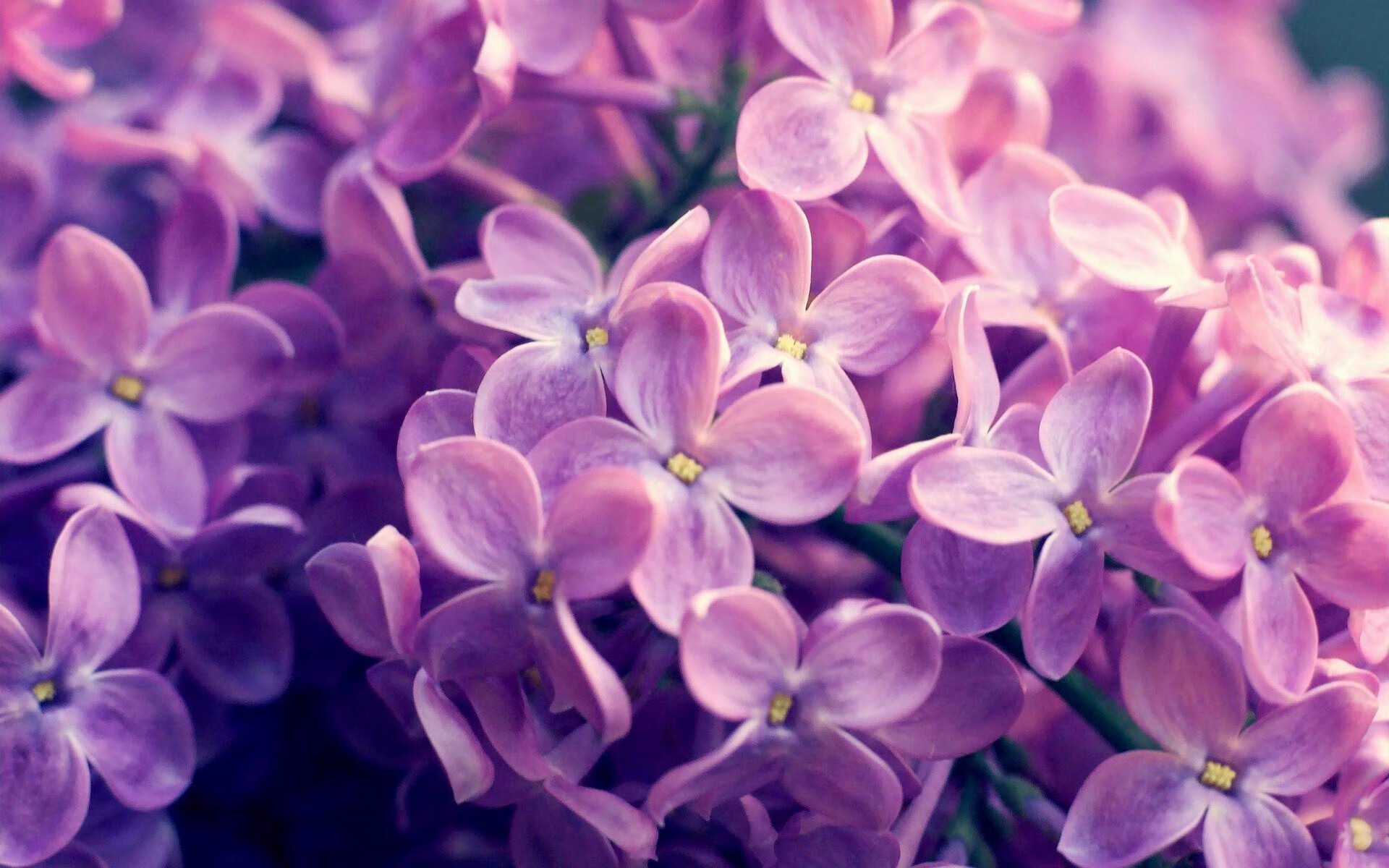 青少年篮球等级赛试点城市不断扩展覆盖面广泛,青少年篮球比赛级别分类