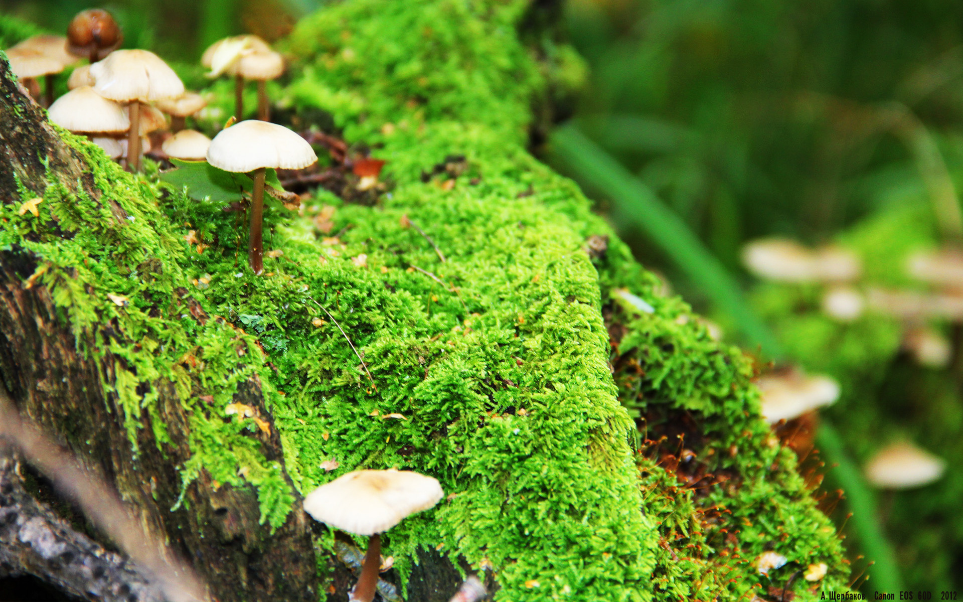 开云体育娱乐app安全-顶尖赛事主办权落地本地城市拉动经济效应初现，顶级赛事专项