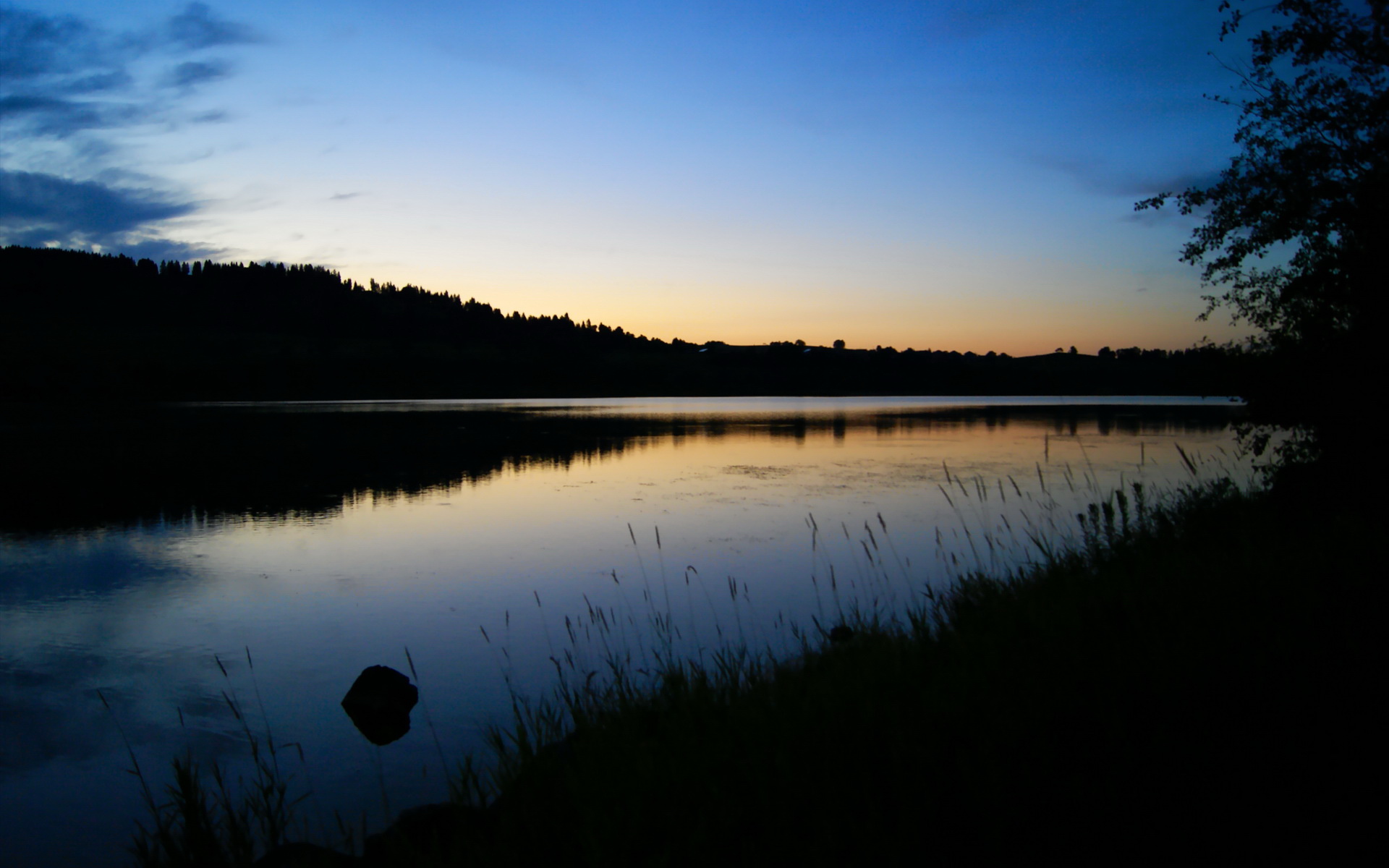 黄蜂主场举办球迷答谢仪式赠送纪念周边,黄蜂主场球衣